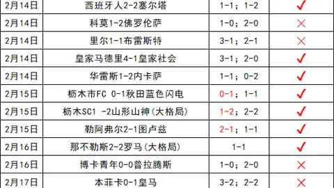 萨巴伦卡轻取鲍里妮，伊埃拉黑马之旅就此落幕。